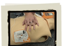 Adult AED