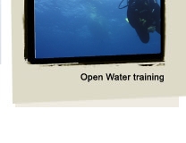 Padi Open Water - London