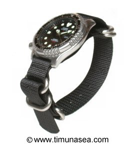 Waterborne Watch Band